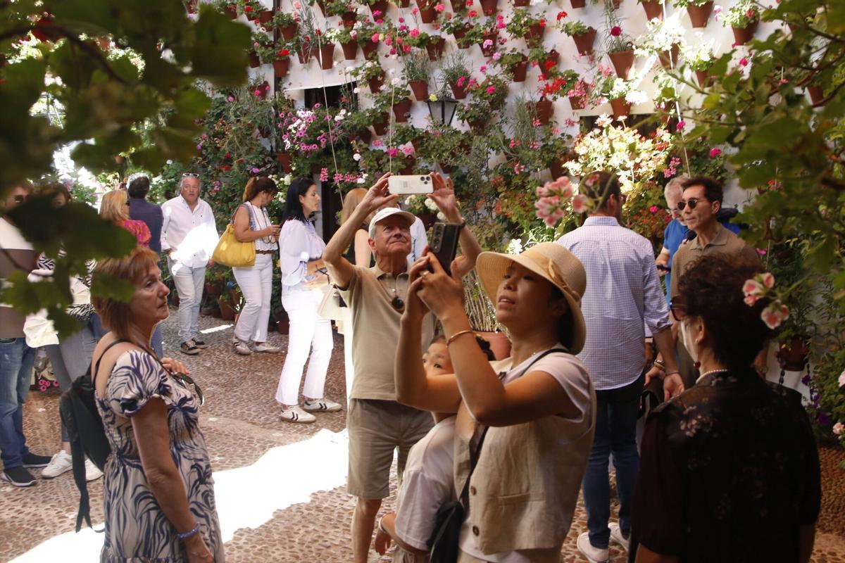 Las últimas visitas a los Patios de Córdoba 2026