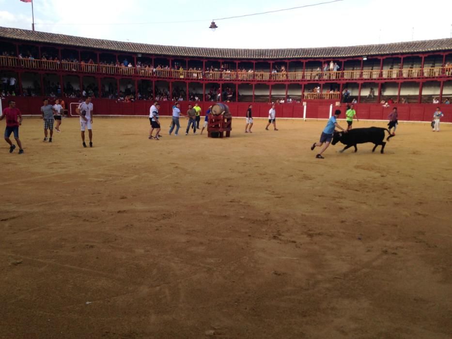 Fiestas Toro- concurso de jóvenes cortadores