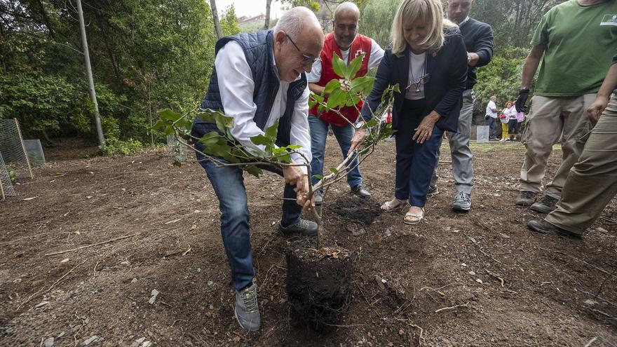 ¿Qué hacer con el céntimo forestal? Antonio Morales ya lo tiene claro