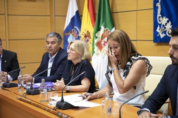 Constitución de Gobierno del Cabildo de Fuerteventura