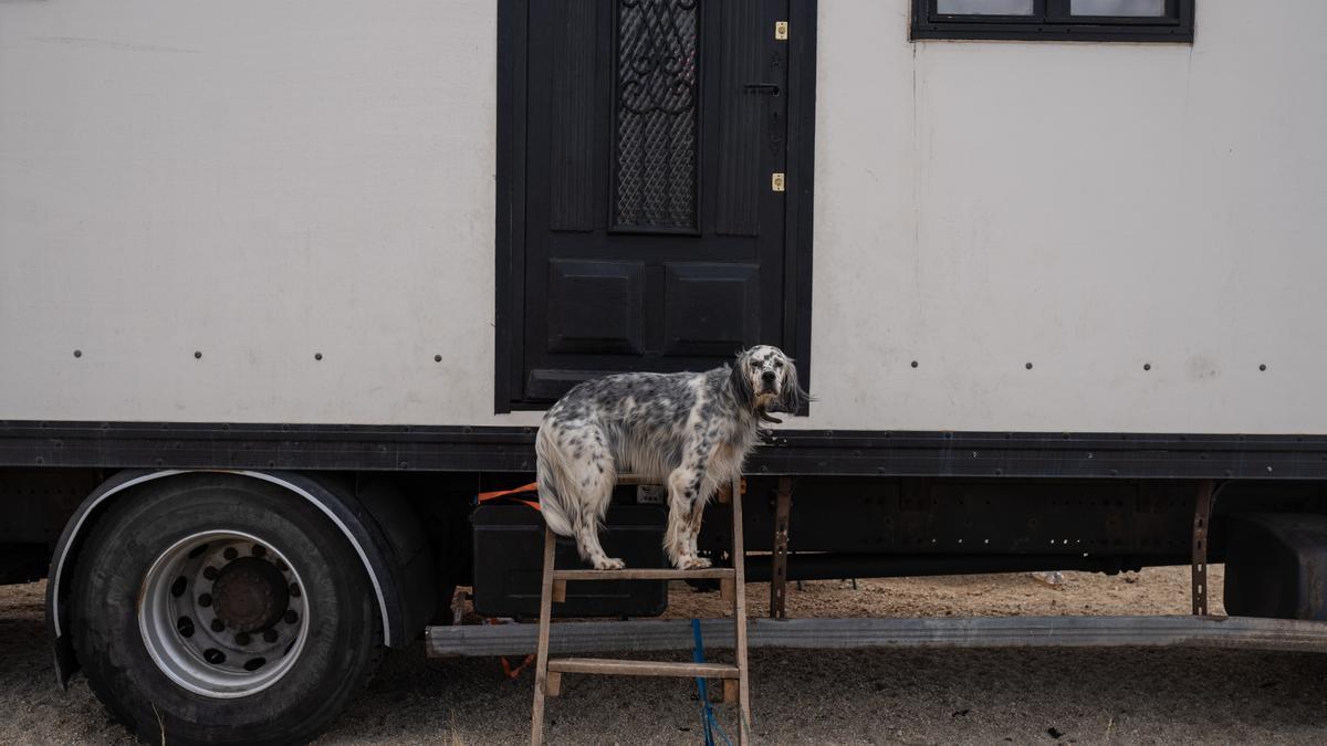 Un perro junto a una caravana en Argusino.