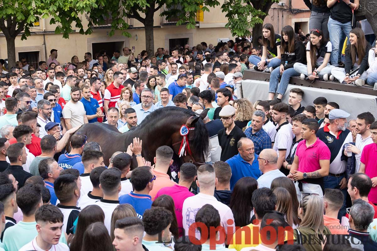 Así ha sido la entrega de premios del concurso morfológico de los Caballos del Vino de Caravaca