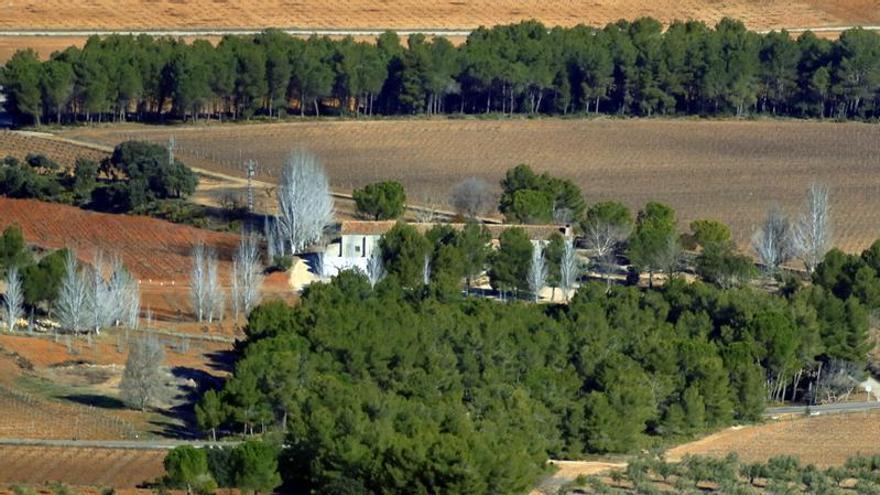 Vinya Alforí: un viaje al corazón de Terres dels Aforins