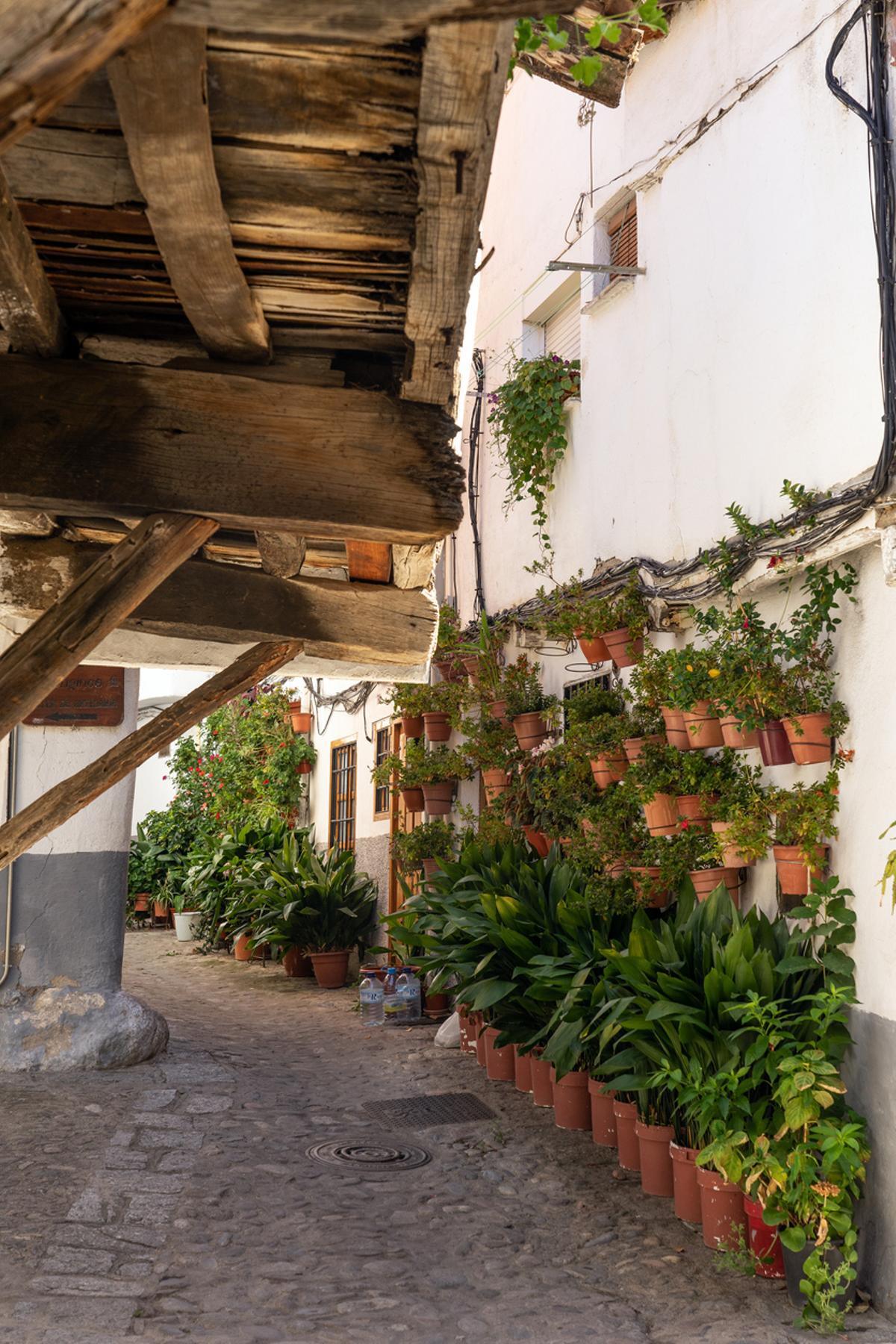 Las calles de la judería de Hervás con las típicas casas blancas de Cáceres.