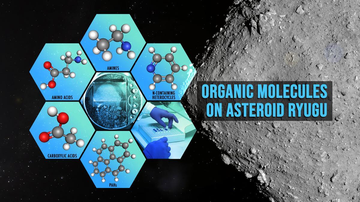 Tipos de moléculas orgánicas encontradas en la muestra del asteroide Ryugu.