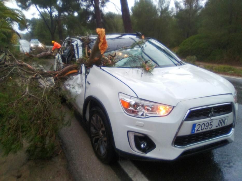 Los estragos del temporal en Mallorca