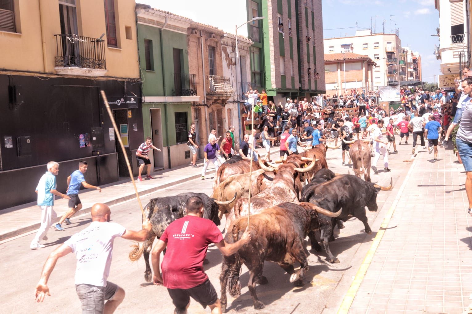 Las mejores fotos del encierro de este sábado en el Grau de Castelló por las fiestas de Sant Pere