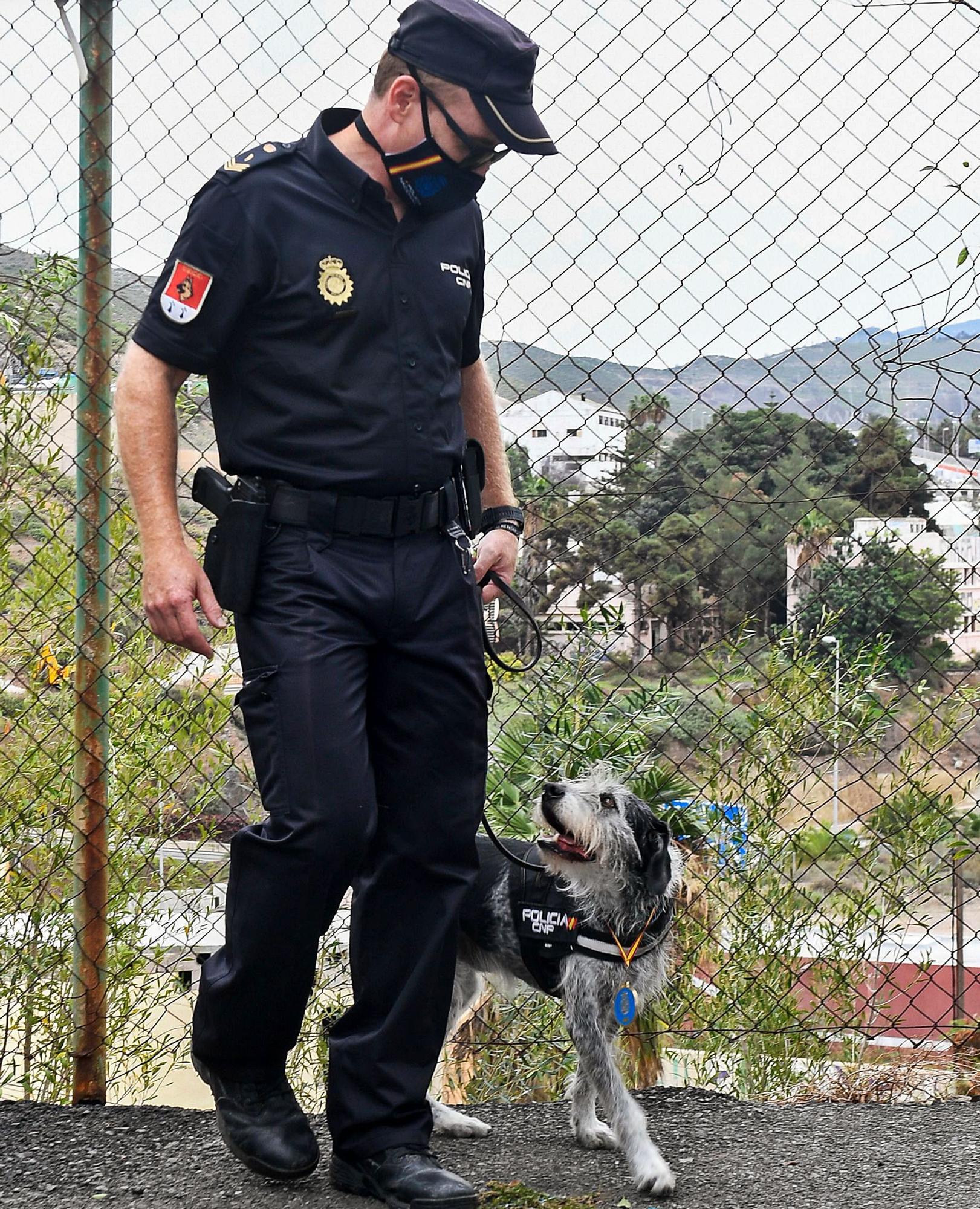 David Blanco Farpón, con su perro ‘Bull’, en la capital grancanaria.