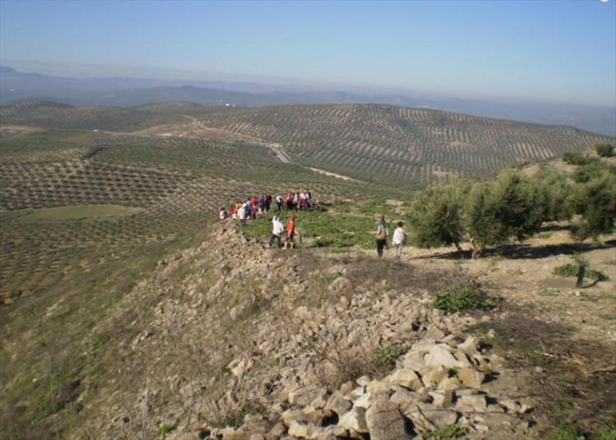 Reconocen como zona arqueológica el yacimiento ibero de Cerro Boyero