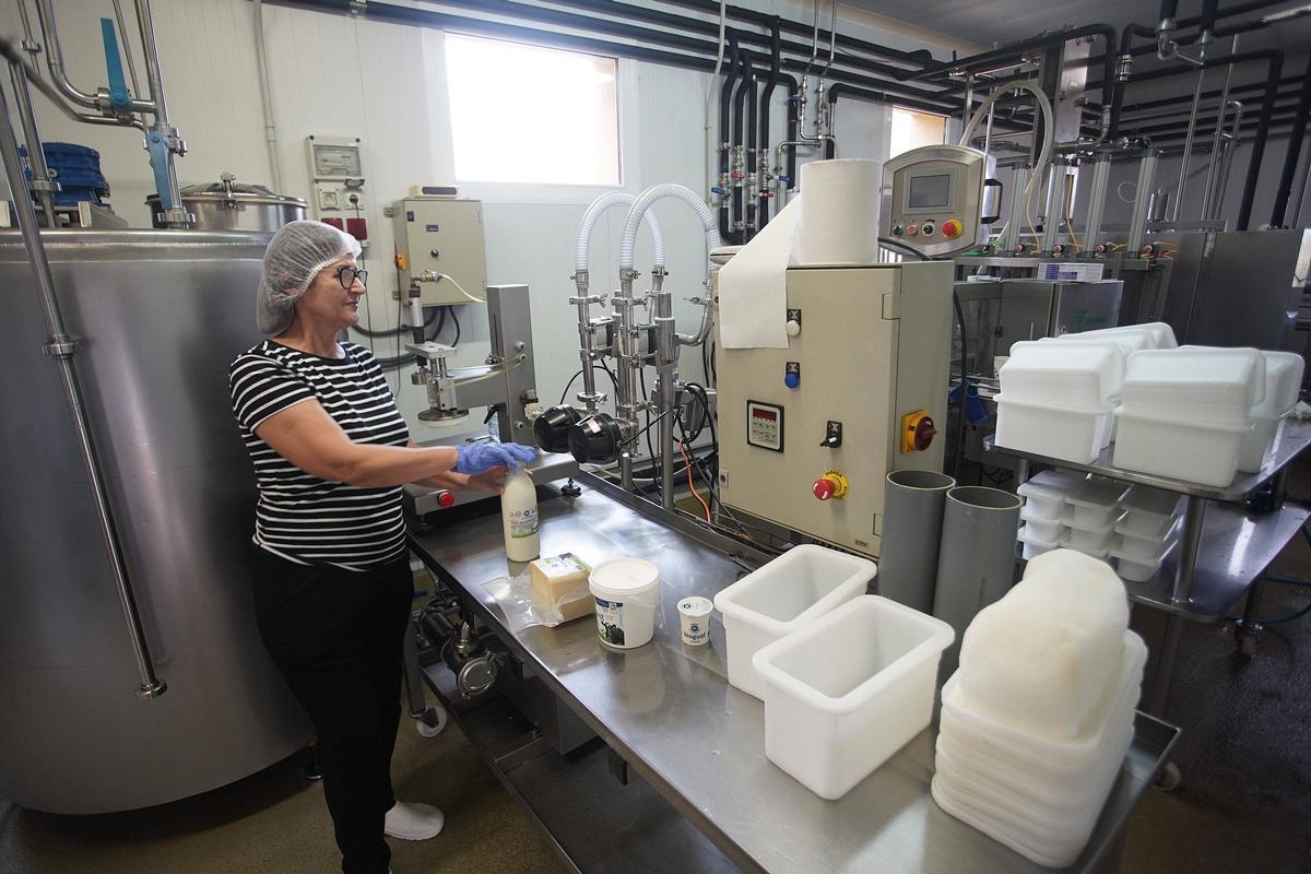 L'obrador de la granja on produeixen els làctics de La Selvatana.