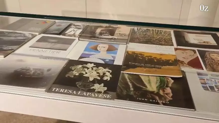 Un aperitivo de la nueva muestra en la Biblioteca Pública de Zamora: 24 artistas zamoranos
