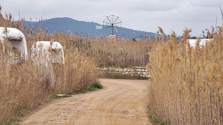 Camí de ses Feixes, amb dos portals. Al fons, un molí, que ja correspon al pla de Jesús.