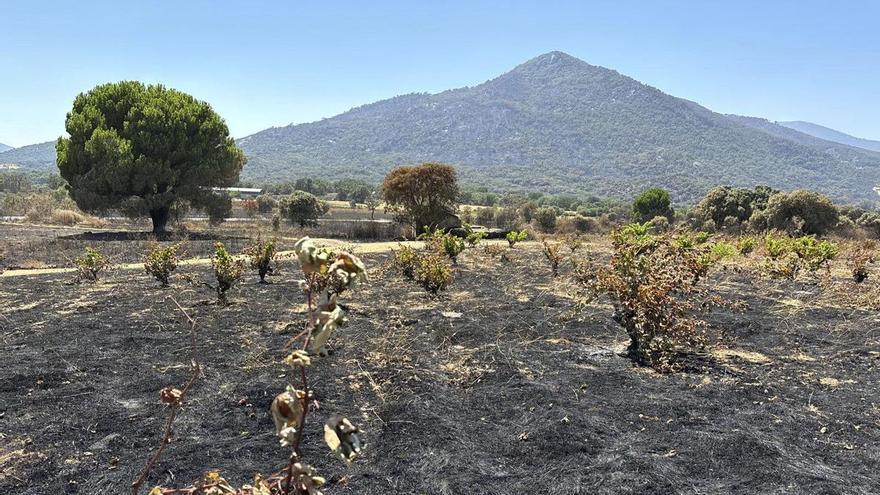 Estabilizado el fuego de Ávila; extinguido el de Toledo y en Huelva prosigue el trabajo
