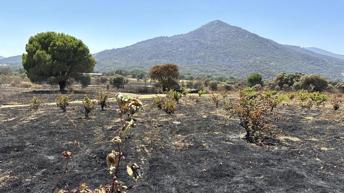 Estabilizado el fuego de Ávila; extinguido el de Toledo y en Huelva prosigue el trabajo