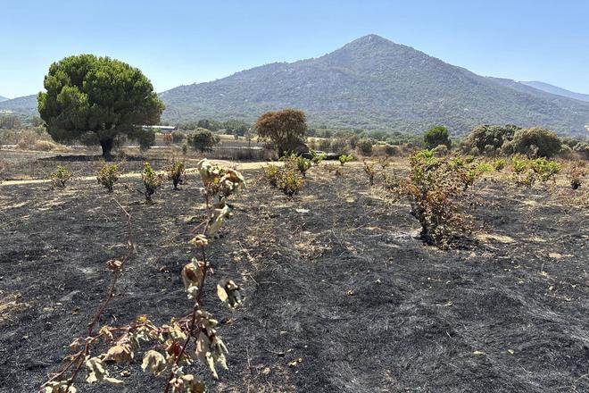 Estabilizado el fuego de Ávila; extinguido el de Toledo y en Huelva prosigue el trabajo