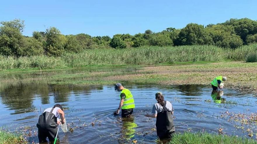 Inspección de Lagoa Bodeira a cargo de la Estación de Hidrobioloxía O Con.