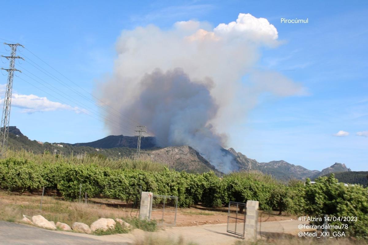 Incendi declarat a Alzira en abril de 2023.