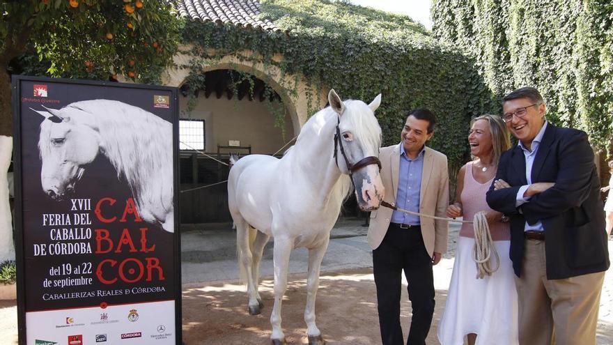 El Ayuntamiento de Córdoba cede Caballerizas Reales a Córdoba Ecuestre por un canon de 2,5 millones y durante 75 años