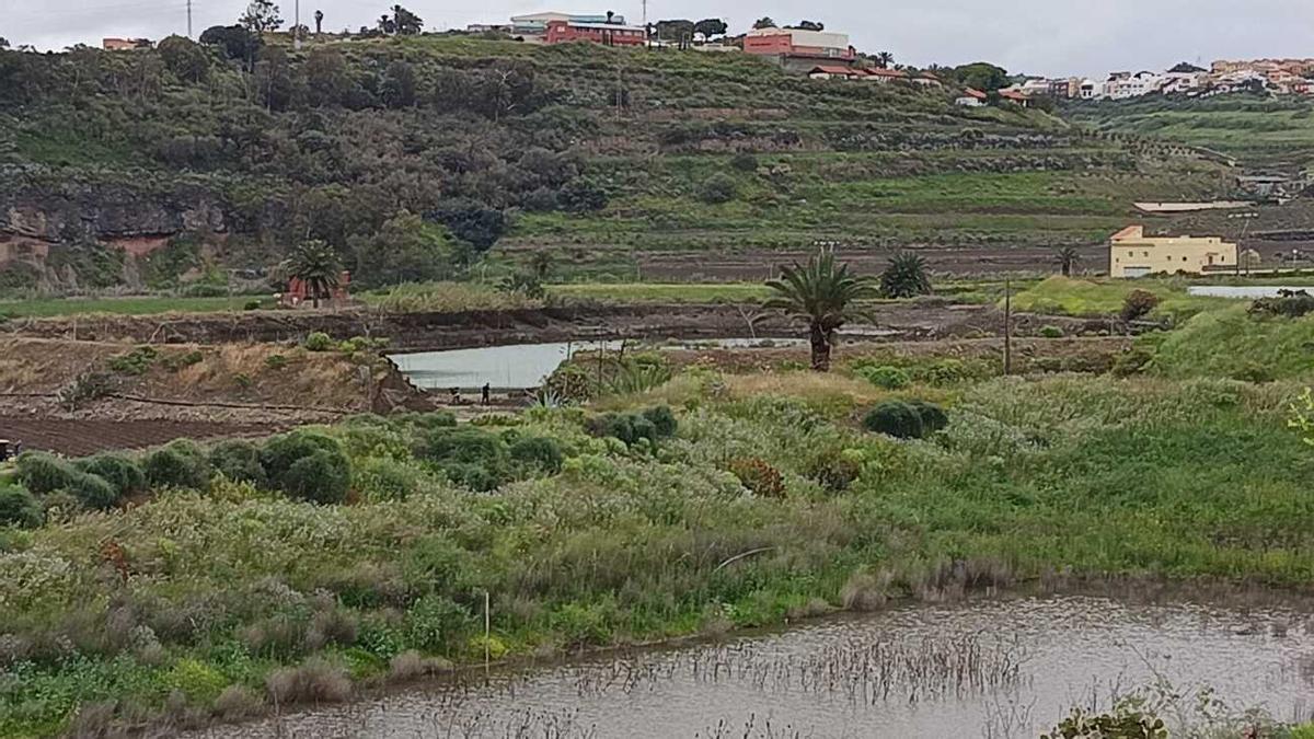 Colapsa un estanque de barro en San Lorenzo
