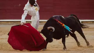 Gran triunfo de Mario Vilau en Vinaroz con tres orejas cortadas