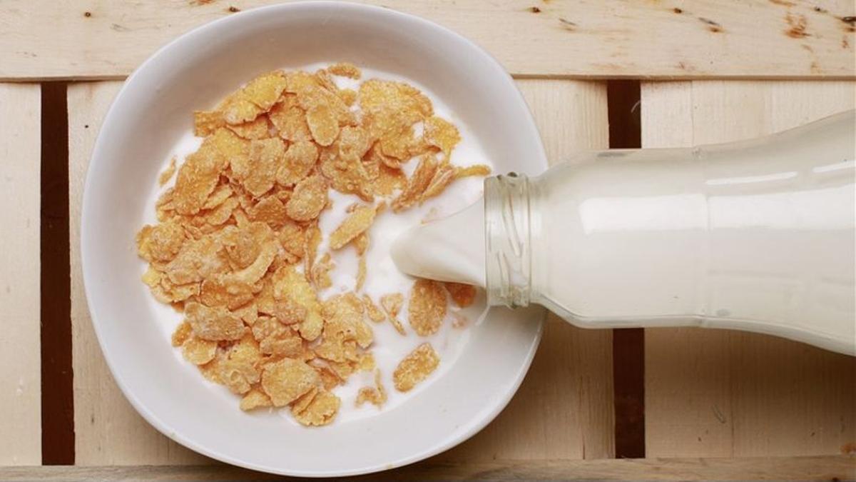 Los cereales, un producto malsano para desayunar.