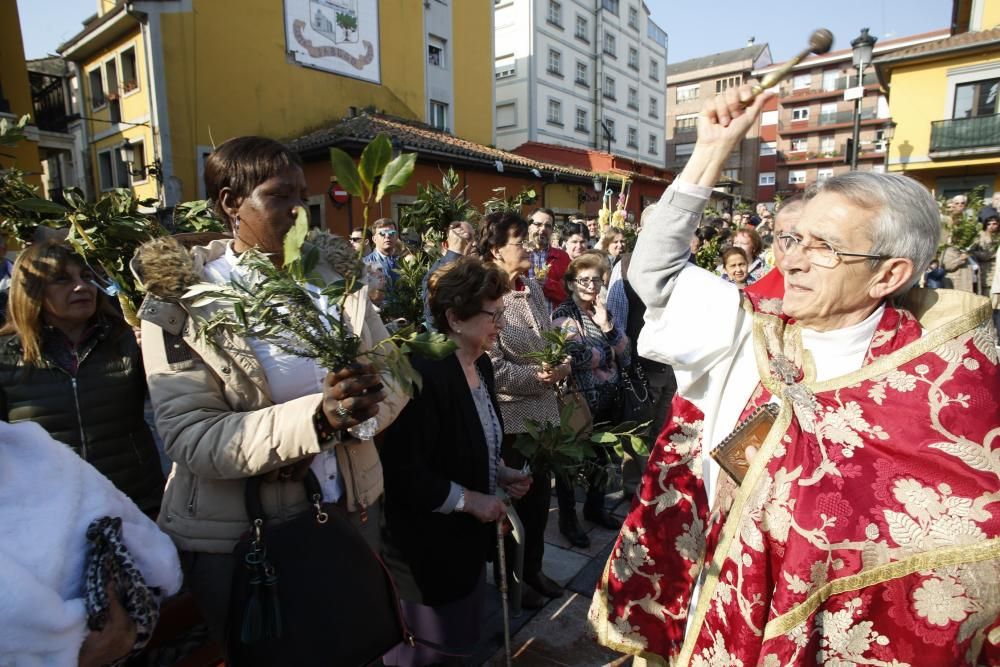 Domingo de Ramos en Avilés