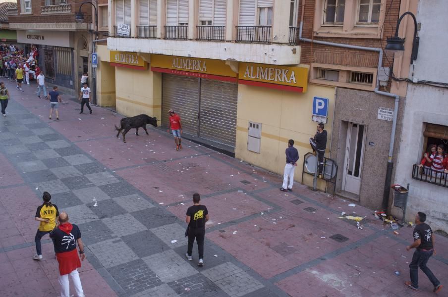 Becerrada, encierros y vaca de la sangría