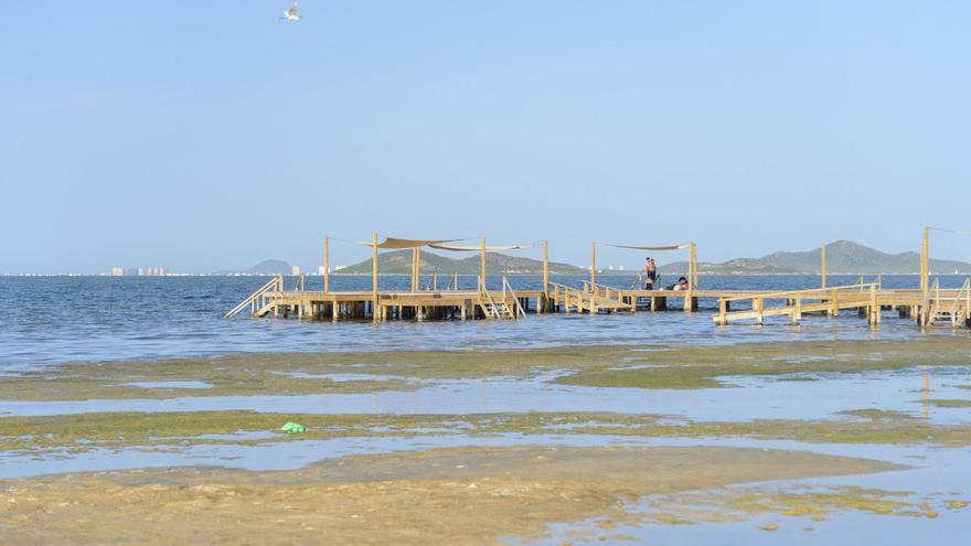 Algas acumuladas en la costa de Los Urrutias, Cartagena, en una fotografía tomada en 2022. | IVÁN URQUÍZAR