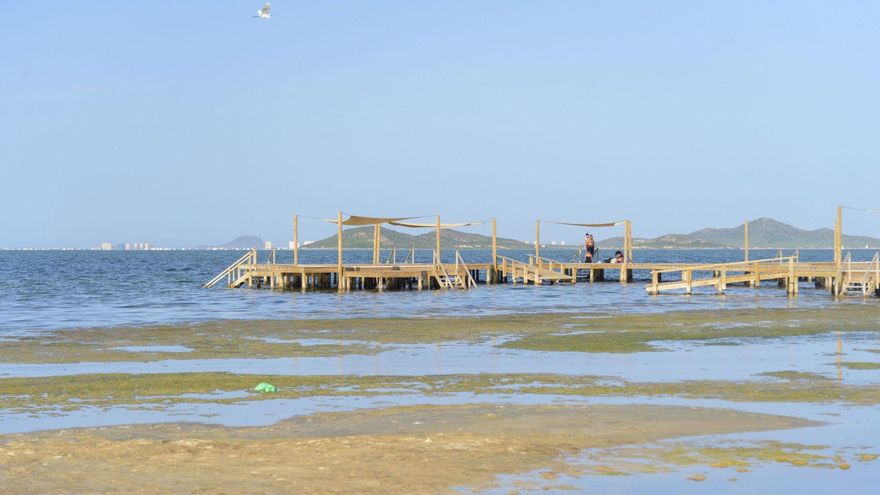 Algas acumuladas en la costa de Los Urrutias, Cartagena, en una fotografía tomada en 2022. | IVÁN URQUÍZAR