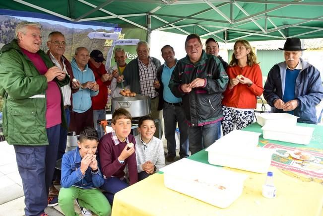 Día grande de las fiestas de San Vicente Ferrer ...