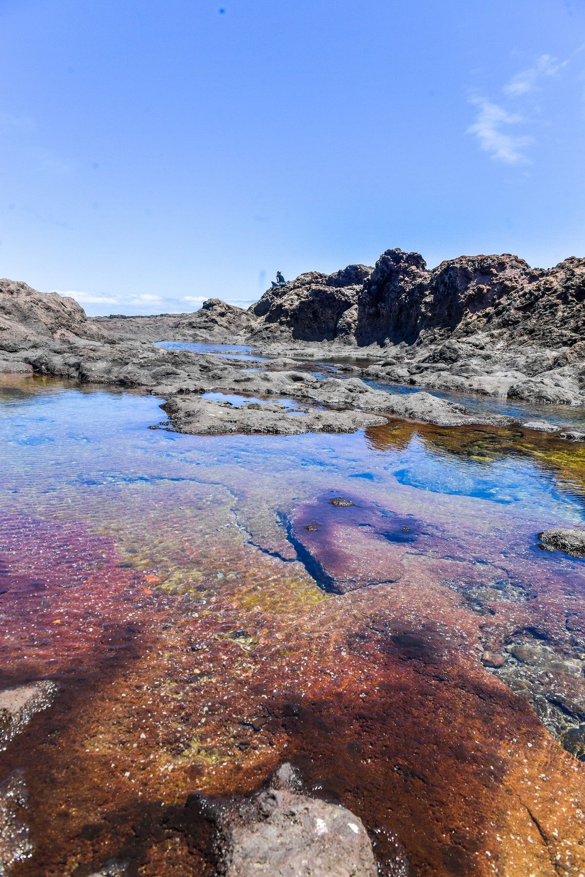 Charcos de marea de Gran Canaria