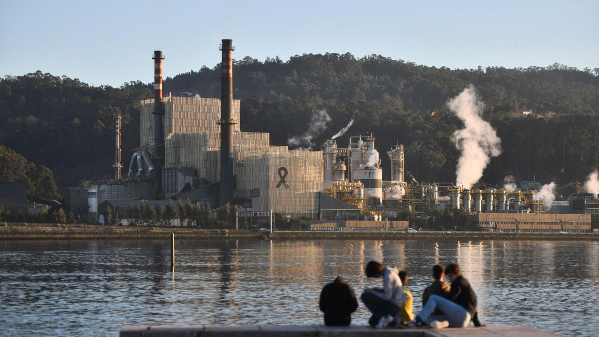 Una vista de la fábrica de Ence en Pontevedra.