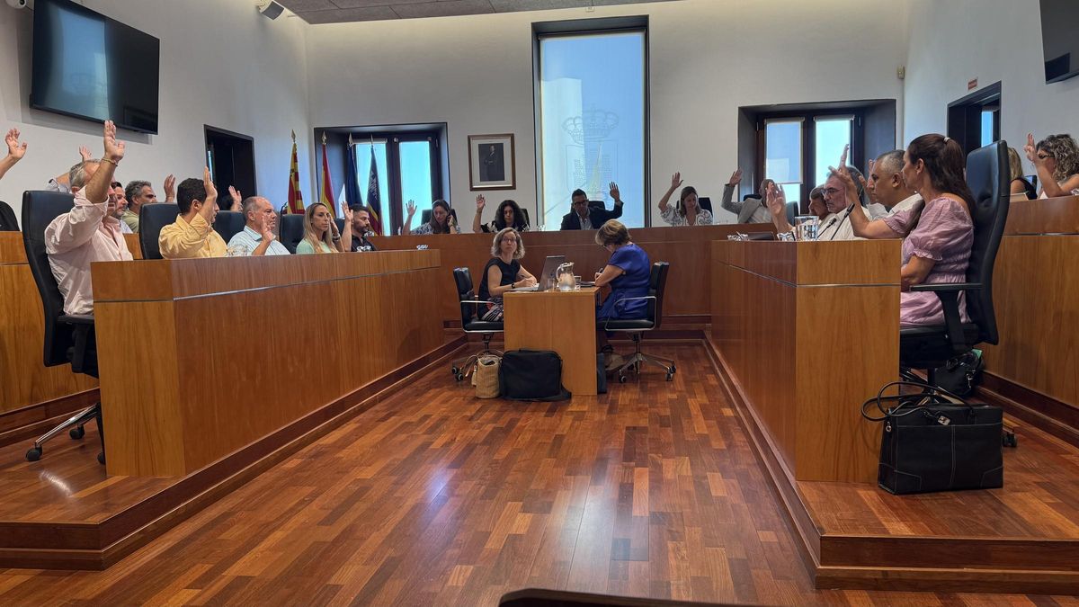 Un momento del pleno celebrado este jueves en el Ayuntamiento de Ibiza.