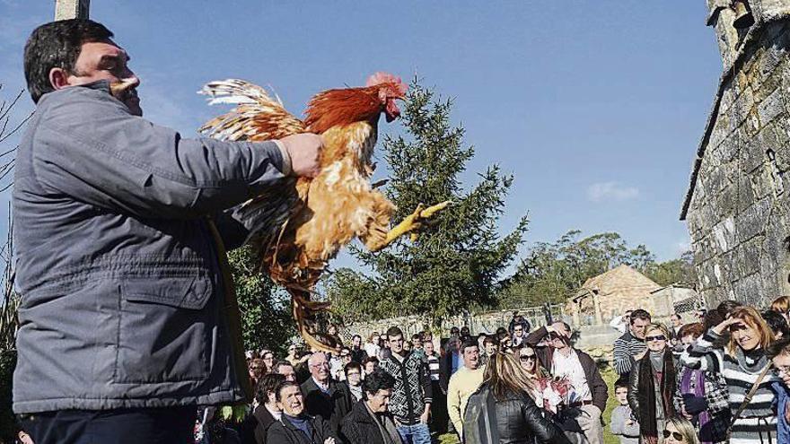 Subasta de ofrendas y gallos en Arra. // G. Santos