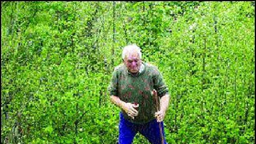 Mallada, con los restos de una de las ovejas atacadas por los lobos.