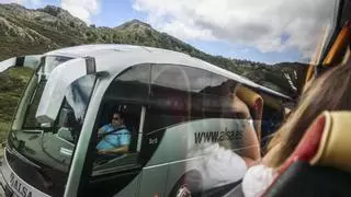"El acceso a los Lagos de Covadonga debió cerrarse a los particulares hace años", dicen los afectados