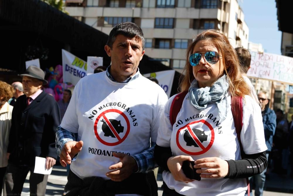 Protesta contra las macrogranjas en Zamora