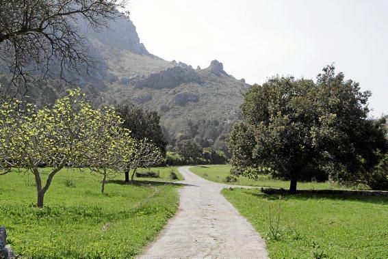 Einer der schönsten Winkel der Insel - das Tal und der Garten von Ariant - kann wieder bei geführten Rundgängen erkundet werden.