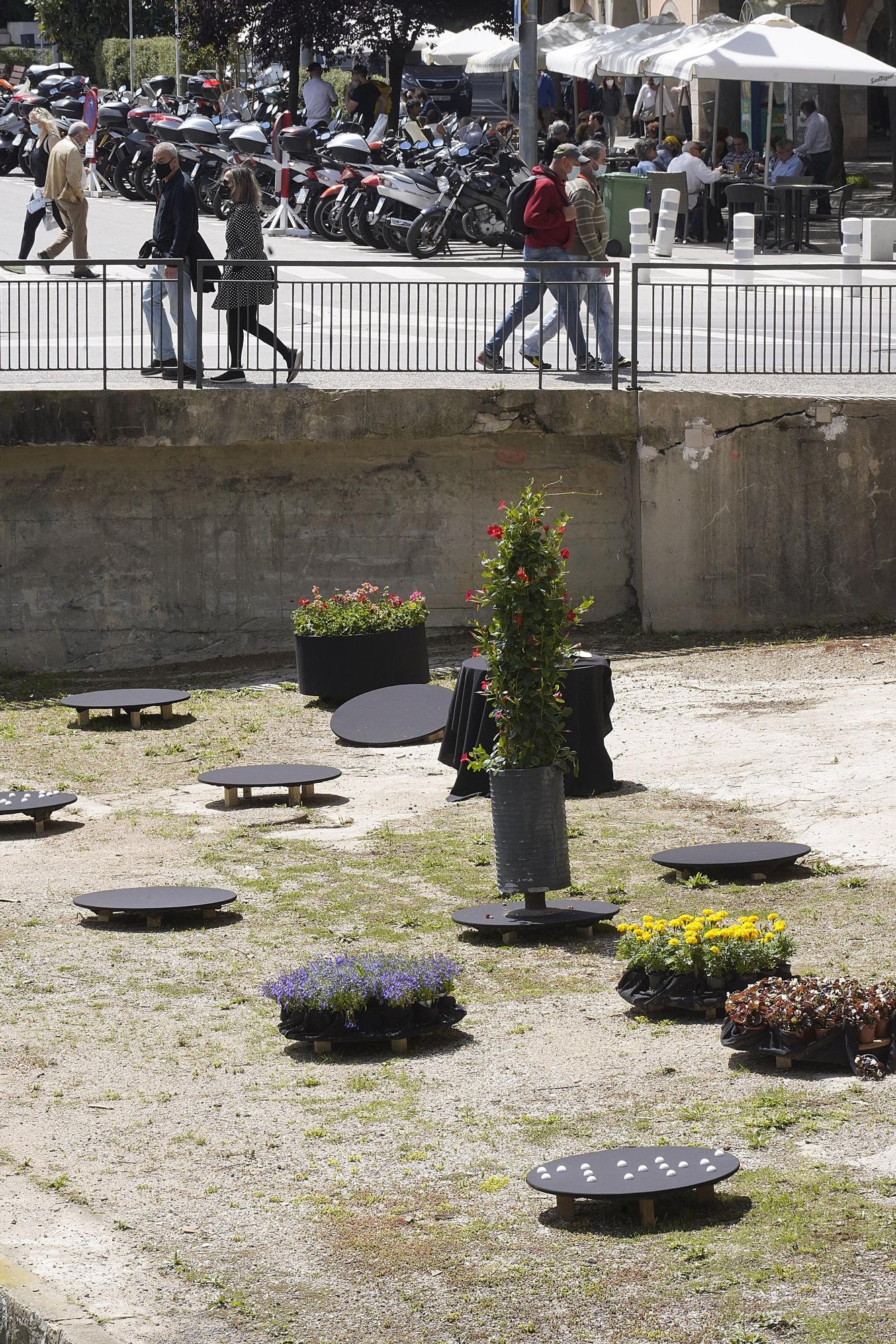 Projectes solidaris de Temps de Flors