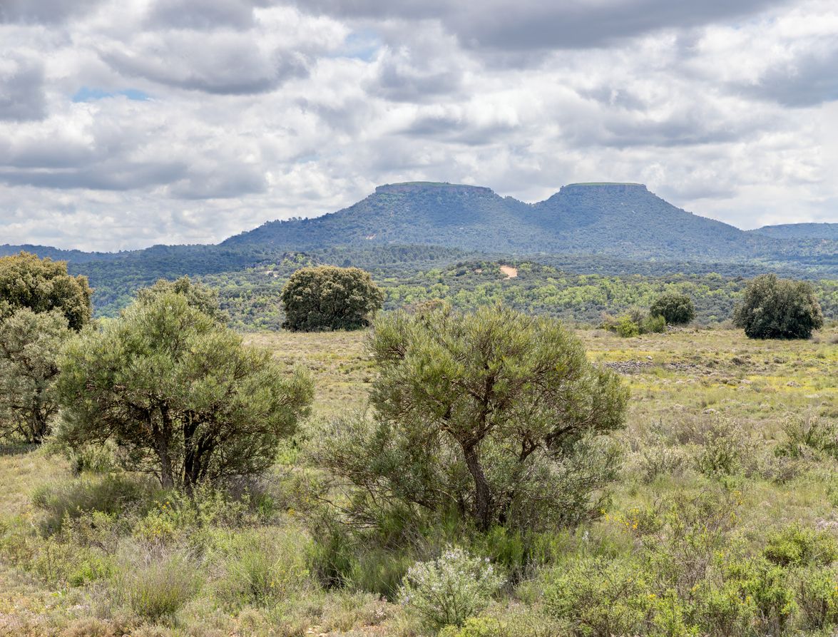 Los cerros bautizados como "Tetas de Viana" conforman un enclave natura único