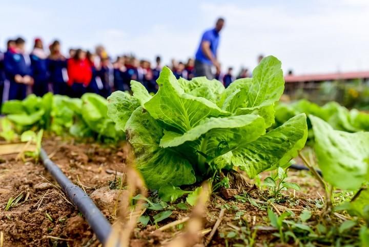 Visita escolar a la Granja Agricola del Cabildo