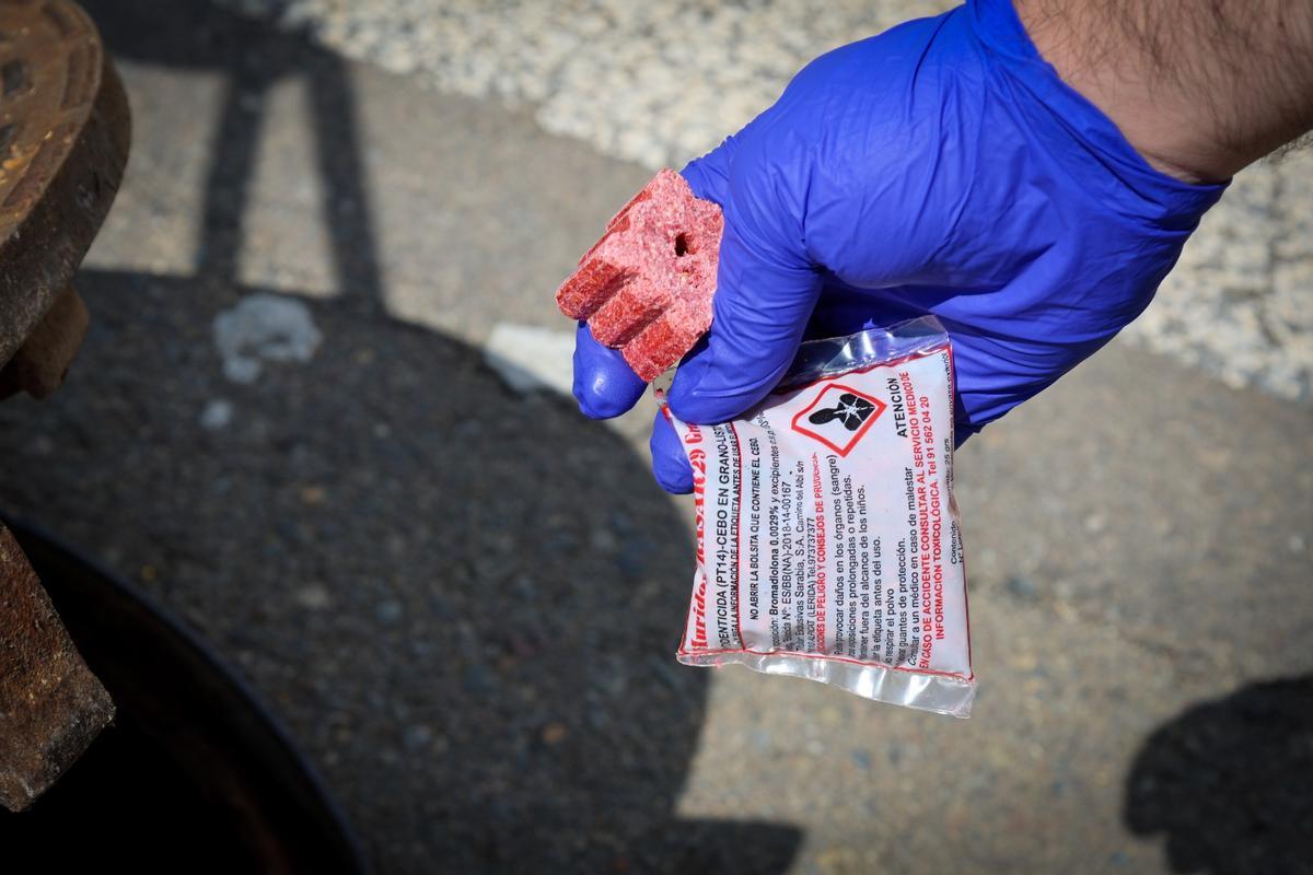 Torrent intensifica el tratamiento del alcantarillado para prevenir plagas.