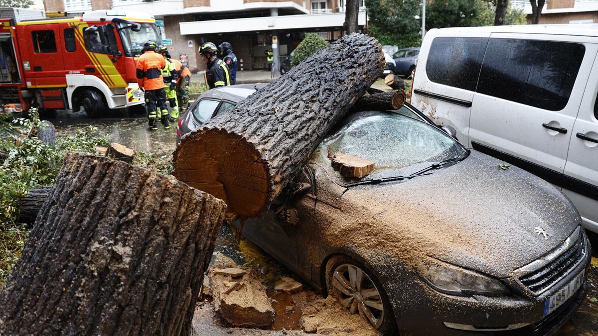 Efectos de la borrasca Ciarán en Madrid