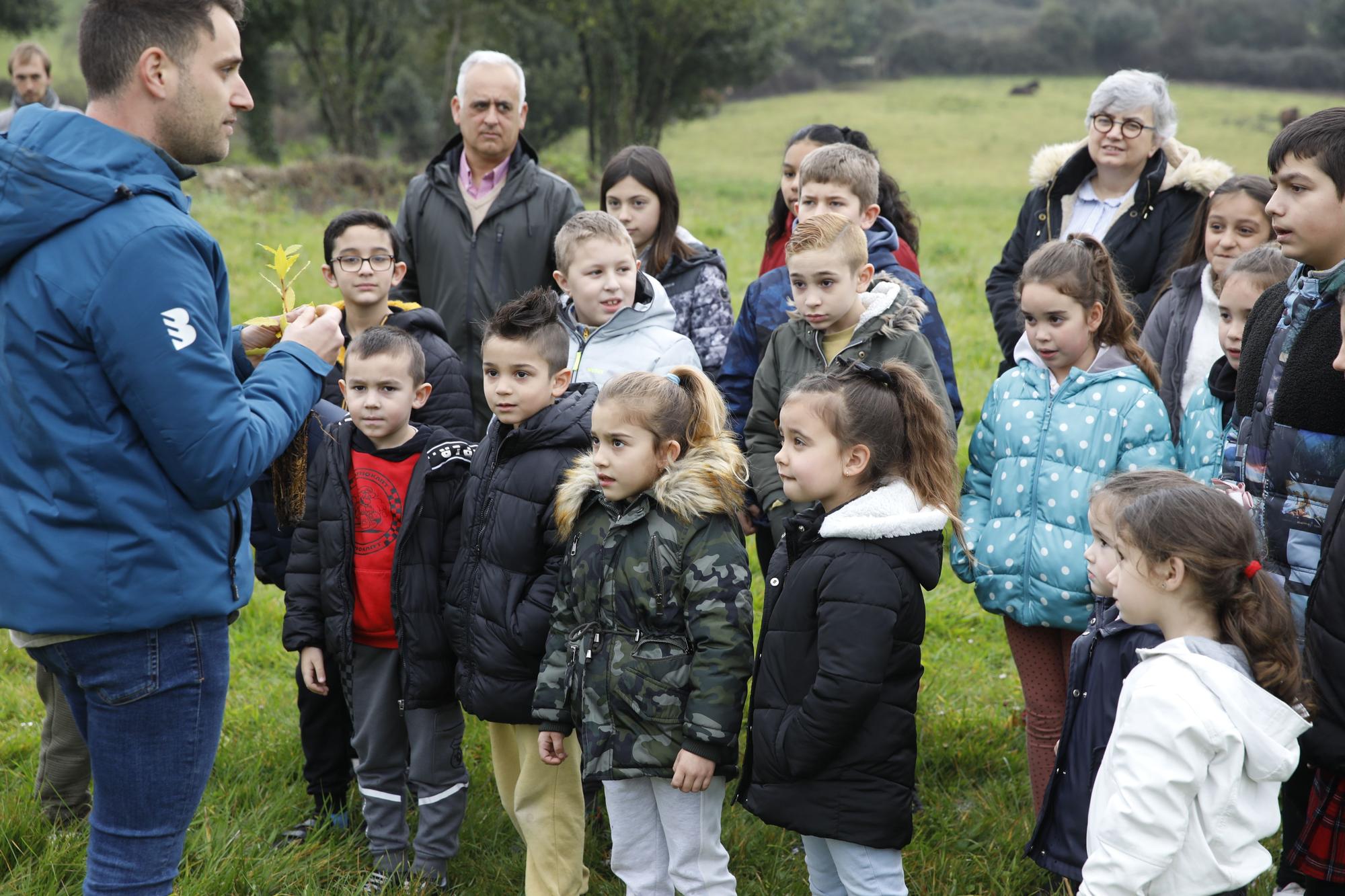 En imágenes: La alcaldesa de Gijón, en la plantación de árboles autóctonos en Somonte