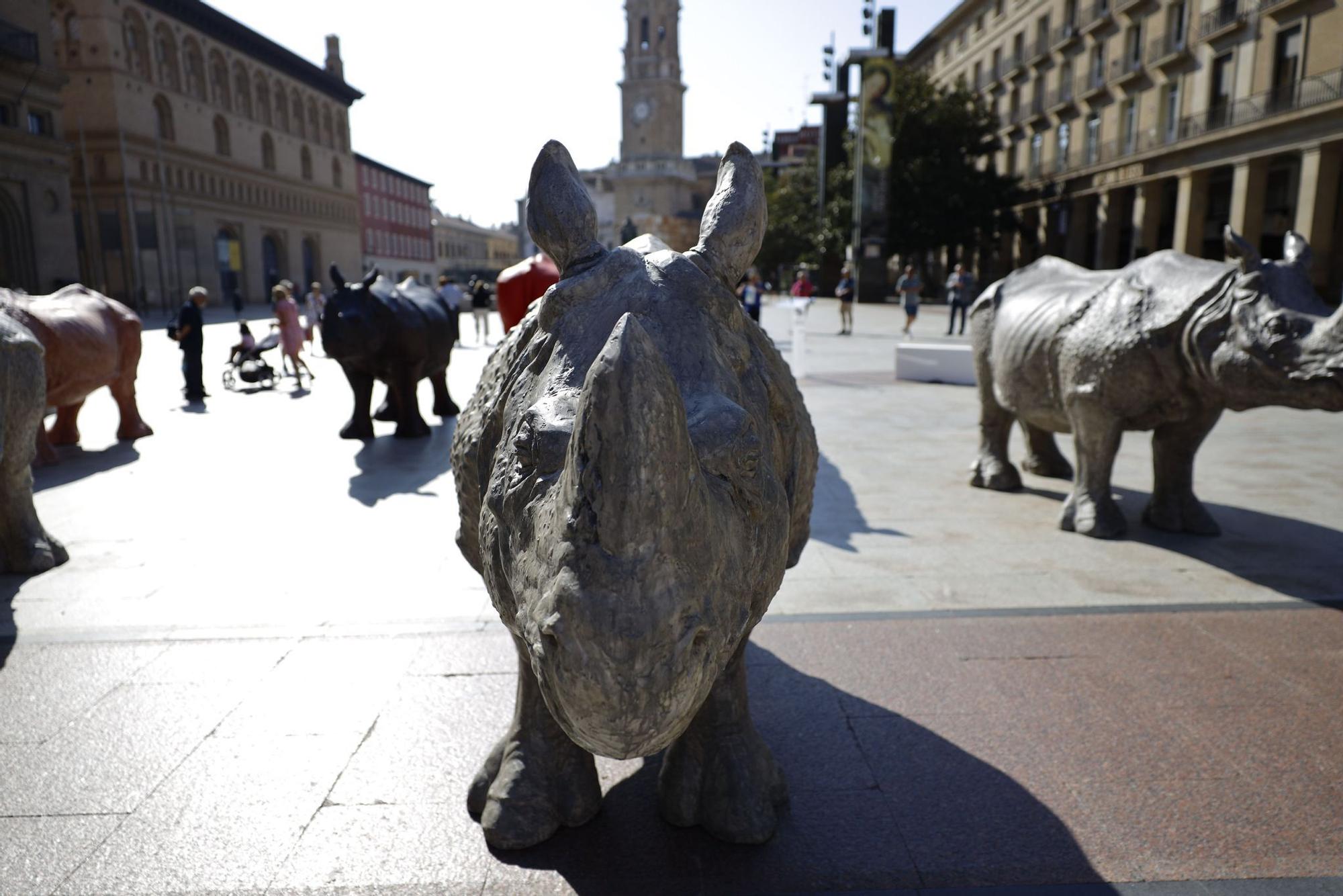 EN IMÁGENES | Inauguración de la exposición de los rinocerontes de Fabelo plaza del Pilar