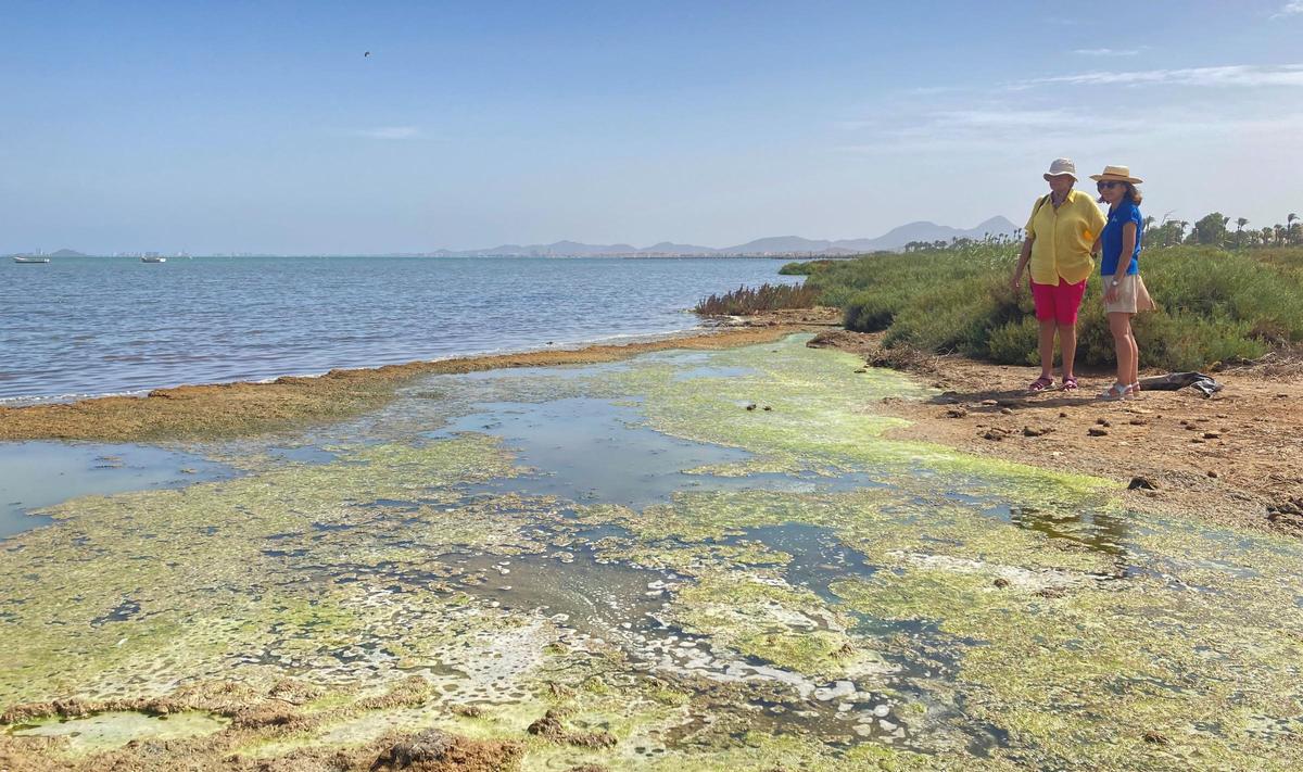 Die Aktivistinnen Marta (r) und Isabel (gelbes Hemd) stehen am Ufer des Mar Menor. Die größte Salzwasserlagune Europas liegt im Sterben. Umweltschützer machen den Massen-Anbau von Billiggemüse verantwortlich, das vor allem in Deutschland konsumiert wird.