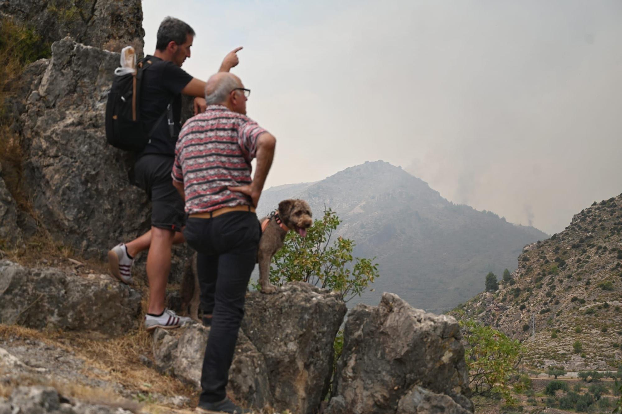 El incendio forestal en Bejís mantiene preocupados a los vecinos de la zona