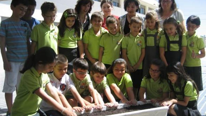 Escolares del colegio público de Hurchillo siembran la planta de la ilusión