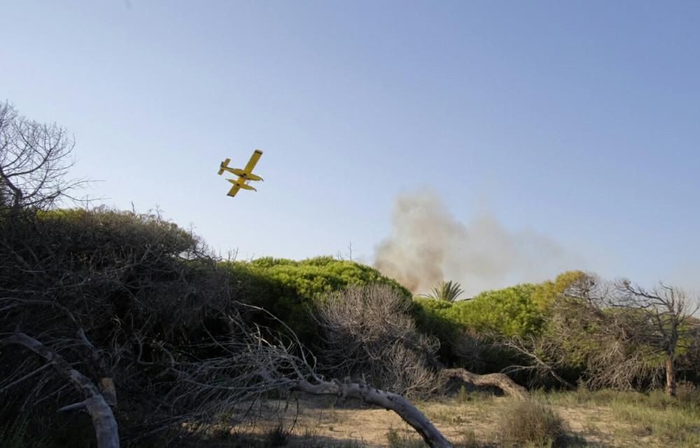 Extinción de un incendio en la pinada de Guardamar