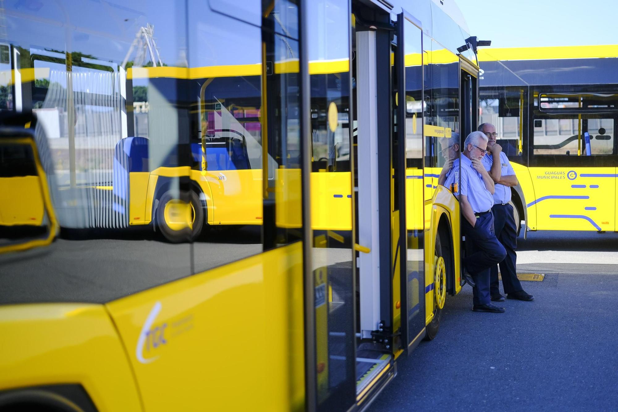 Guaguas Municipales presenta 15 vehículos de 18 metros que circularán en las líneas 12, 17, 33 y 91